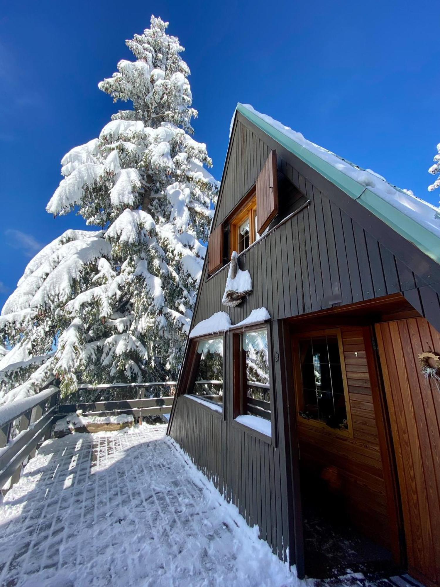 Chalet Cermis Βίλα Cavalese Εξωτερικό φωτογραφία
